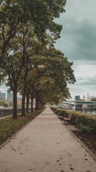 A path lined with trees and benches photo