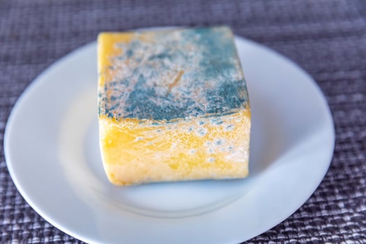 Old, moldy cheese with greenish fungus 20 photo