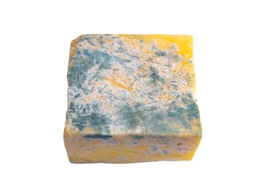 Old, moldy cheese with greenish fungus 6 photo