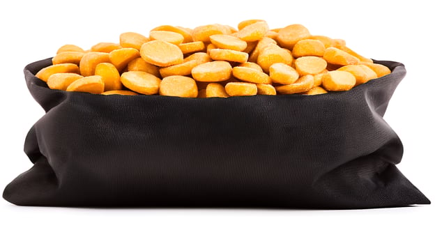 A black bag filled with golden coins, representing wealth and prosperity, on a clean white background photo