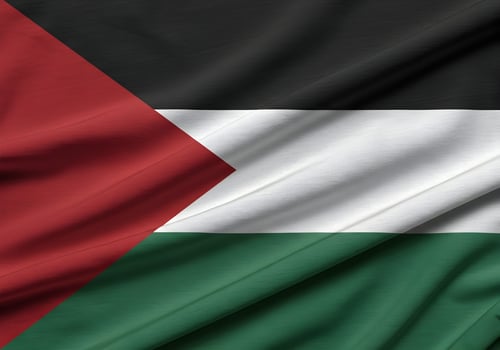Palestine Flag Waving Showing Patriotism and National Identity Symbolism photo