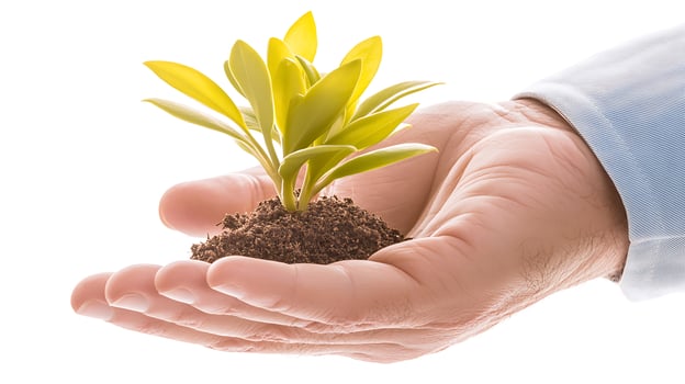 A person gently holding a small green plant with soil in their hand, symbolizing growth and care photo