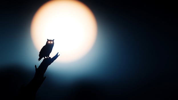 A solitary owl perched on a branch against a luminous full moon in a night sky photo