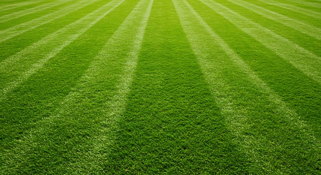 Perfectly manicured lawn with precise stripes creates a verdant inviting landscape and showcases ex photo