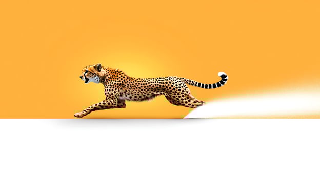 Cheetah sprinting across a vibrant orange background, showcasing speed and agility in motion photo