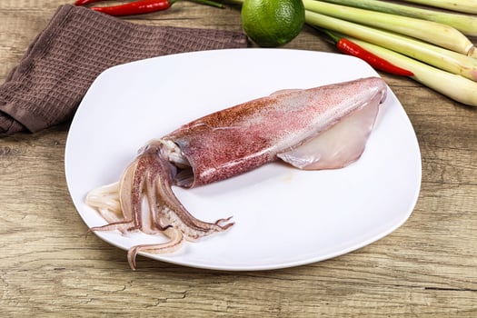 A plate with a squid on it and some vegetables photo
