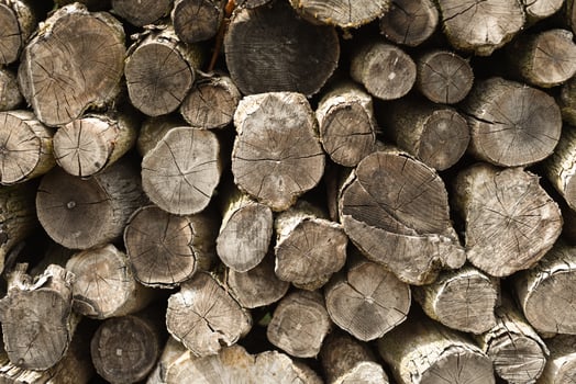 lots of chopped stacked wood background photo