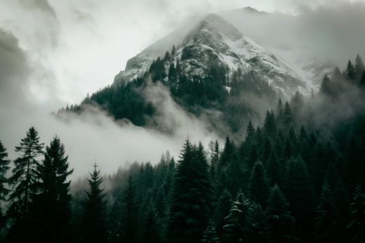 Misty Mountain Peak Surrounded by Evergreen Forest in a Cold Climate photo