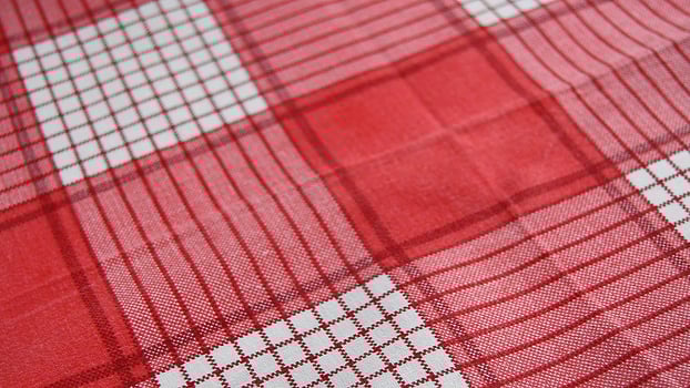 A close up of a red and white checkered fabric photo