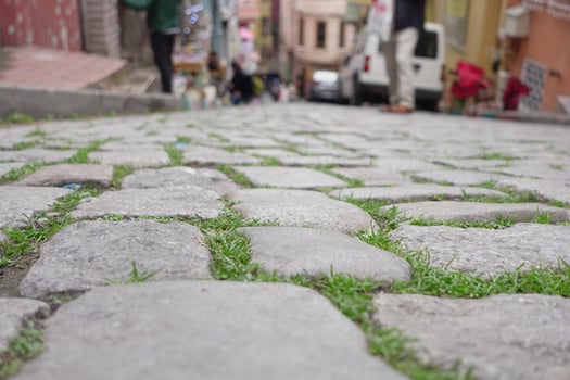 Cobblestone street with grass in colorful town photo