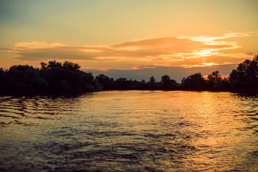A river with water and trees at sunset photo