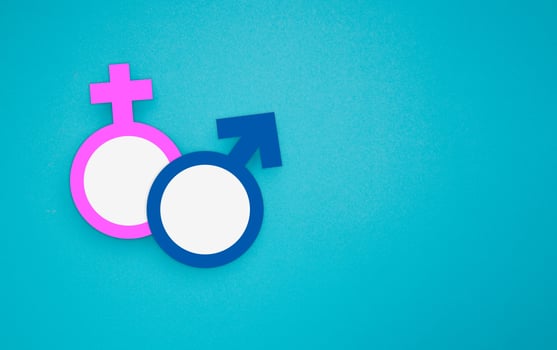 Male and female gender symbols are made from paper on a blue background photo