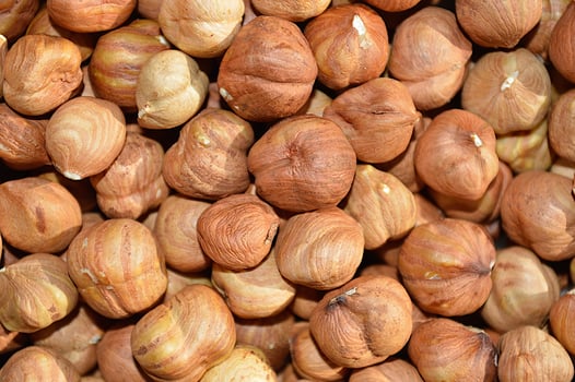 A lot of peeled appetizing hazelnuts photo