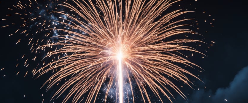 a close up of a firework on a black background photo