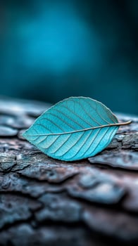 Teal Leaf on Dark Bark photo