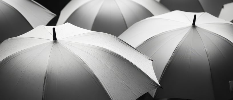 A group of umbrellas in a black and white photo