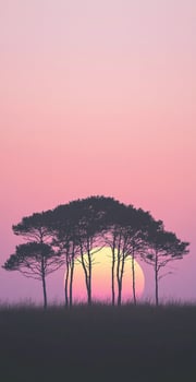 Silhouetted Trees Against Pastel Pink Sunset Glow with Grass Field in Foreground photo