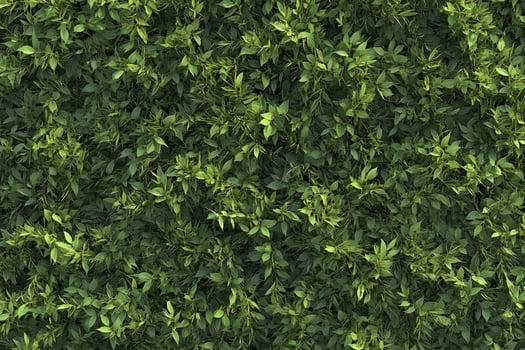 Dense Green Leafy Foliage Background Full Frame Nature Texture for Design and Decoration photo