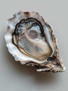 Open oyster fresh seafood raw delicacy gourmet ocean shell sea marine food cuisine photo