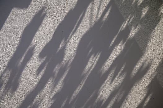 Shadows dance along a textured wall in the light of a late afternoon sun photo
