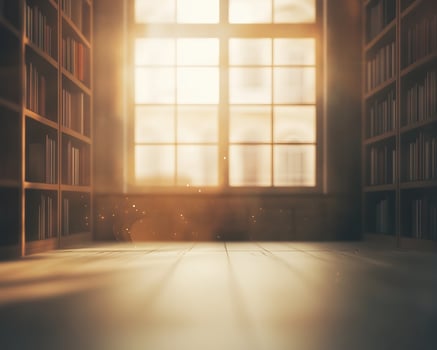Sunlit Room with Bookshelves and Window photo