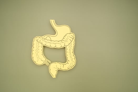 Top view of a large intestine symbol made from yellow paper on a green background photo