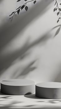 Minimalist Display with Shadows and Circular Forms in an Elegant Setting photo
