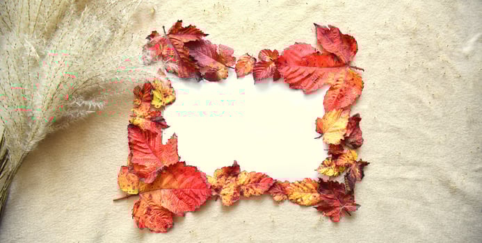 Bright frame made of autumnal red and orange tree leaves on a beige fabric background with folds under sunlight next to bouquet of Miscanthus sinensis Chinese silver grass photo