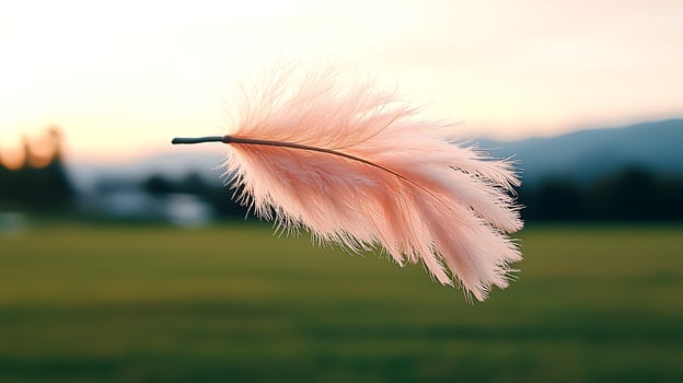 A delicate pink feather gently floating in a serene landscape at sunset, evoking tranquility photo