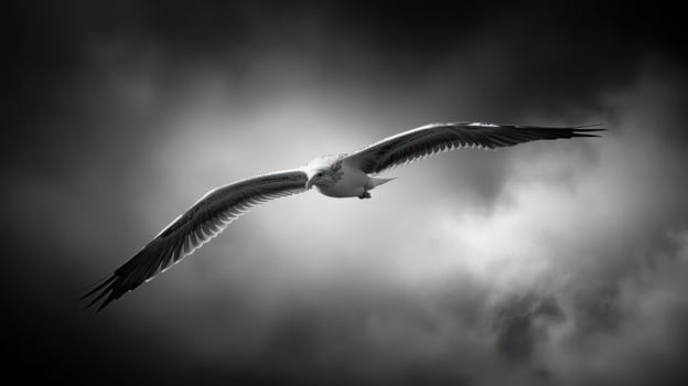 A majestic bird soaring through a dramatic, moody sky. photo