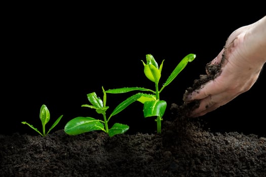 Planting trees, the concept of sustainable use of natural energy.. photo