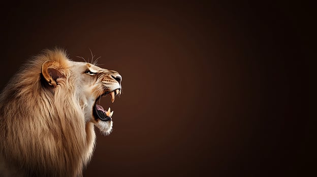 Majestic lion roaring against a dark background, showcasing its powerful presence and beauty photo