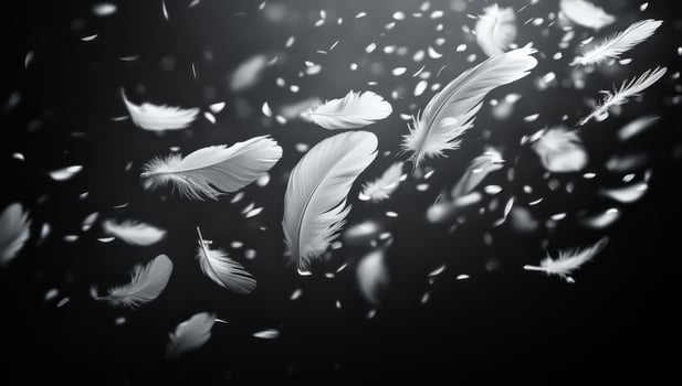 A large number of white feathers floating in the air. The feathers are scattered all over the scene, creating a sense of movement and freedom photo