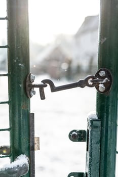 Snow Dusted Green Metal Gate with Black Latch in Sunlight photo