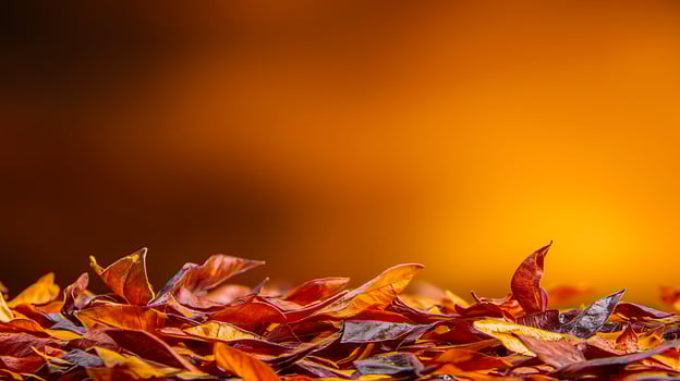 Vibrant autumn leaves scattered on the ground with a warm, blurred orange background photo