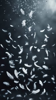 Floating feathers cascade against a dark backdrop, creating a serene and ethereal visual. Motion and lightness define the imagery. photo