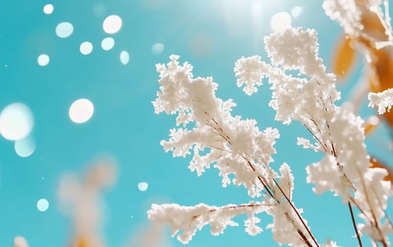 A close-up of frosty branches against a bright blue sky. photo