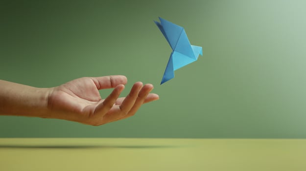 Peace, Hope concepts. World International Peace Day. Sustainable and Responsible Business, Hand Released a Paper Origami White Dove photo