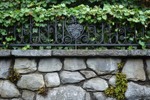 Wrought iron fence adorned with climbing plants on stone wall photo