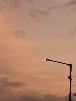 Streetlight Silhouette Against Sunset Sky photo