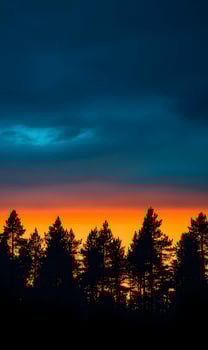 Silhouette of a Forest against a Vibrant Sunset Sky with Dramatic Colors photo