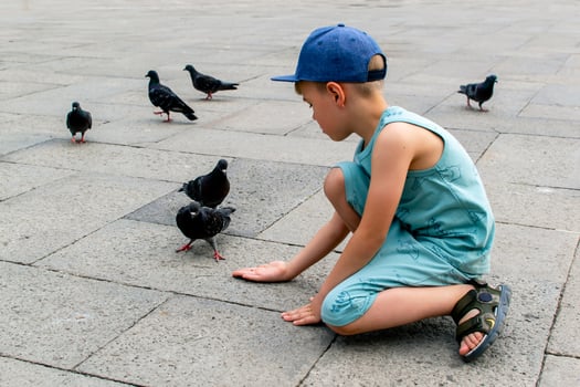 A little boy feeds pigeons from his hand on a city street photo