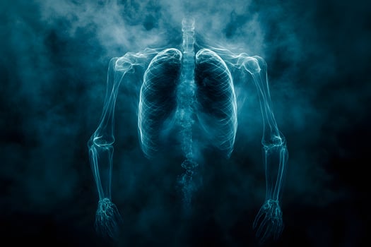 Futuristic X-Ray Illustration of Human Anatomy - Biomedical Visualization photo