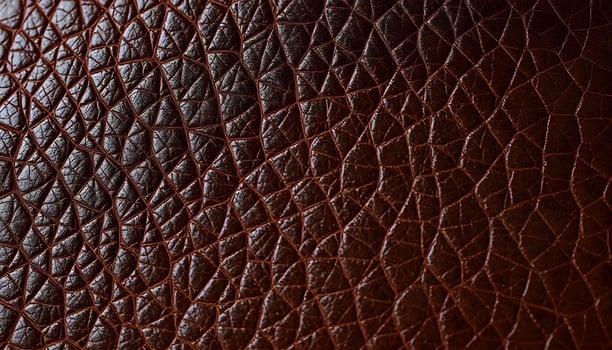 Dark brown leather grain texture with subtle color variations and fine details photo