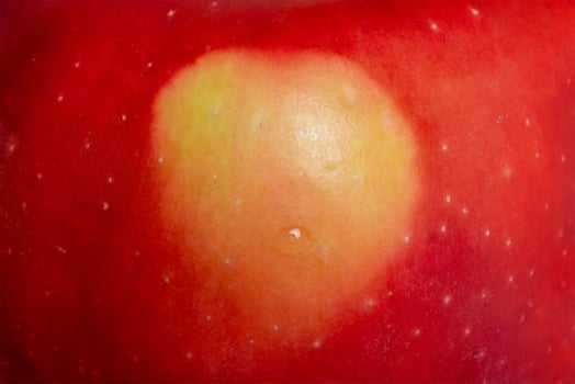 Abstract background texture of red apple macro photo. photo