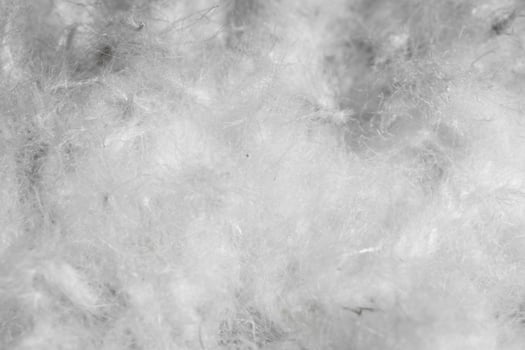 white duck down. texture or background photo