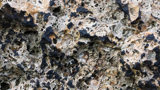 limestone texture background. photo