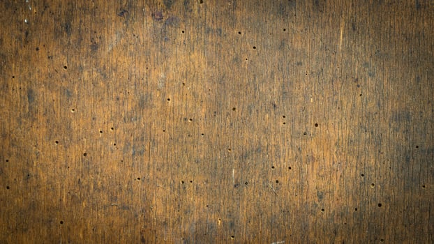 old brown board with traces of bark beetles photo