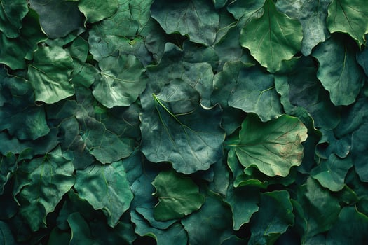 A close-up view of vibrant green leaves layered together, showcasing their intricate textures and shapes. photo