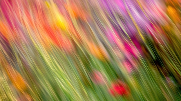 Vibrant wildflowers dance in a wind-swept meadow during a sunny afternoon photo